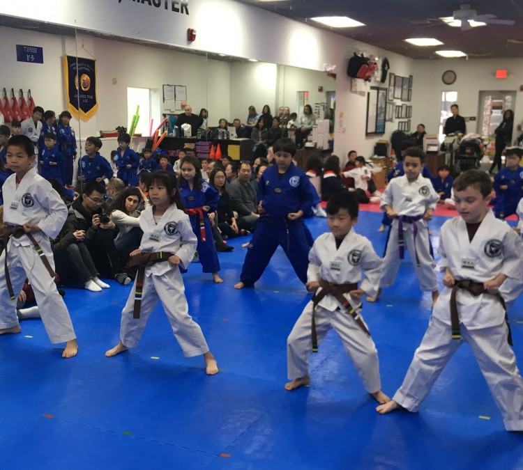 sky-taekwondo-dresher-photo